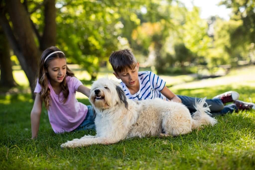 boy-and-girl-with-dog-in-park